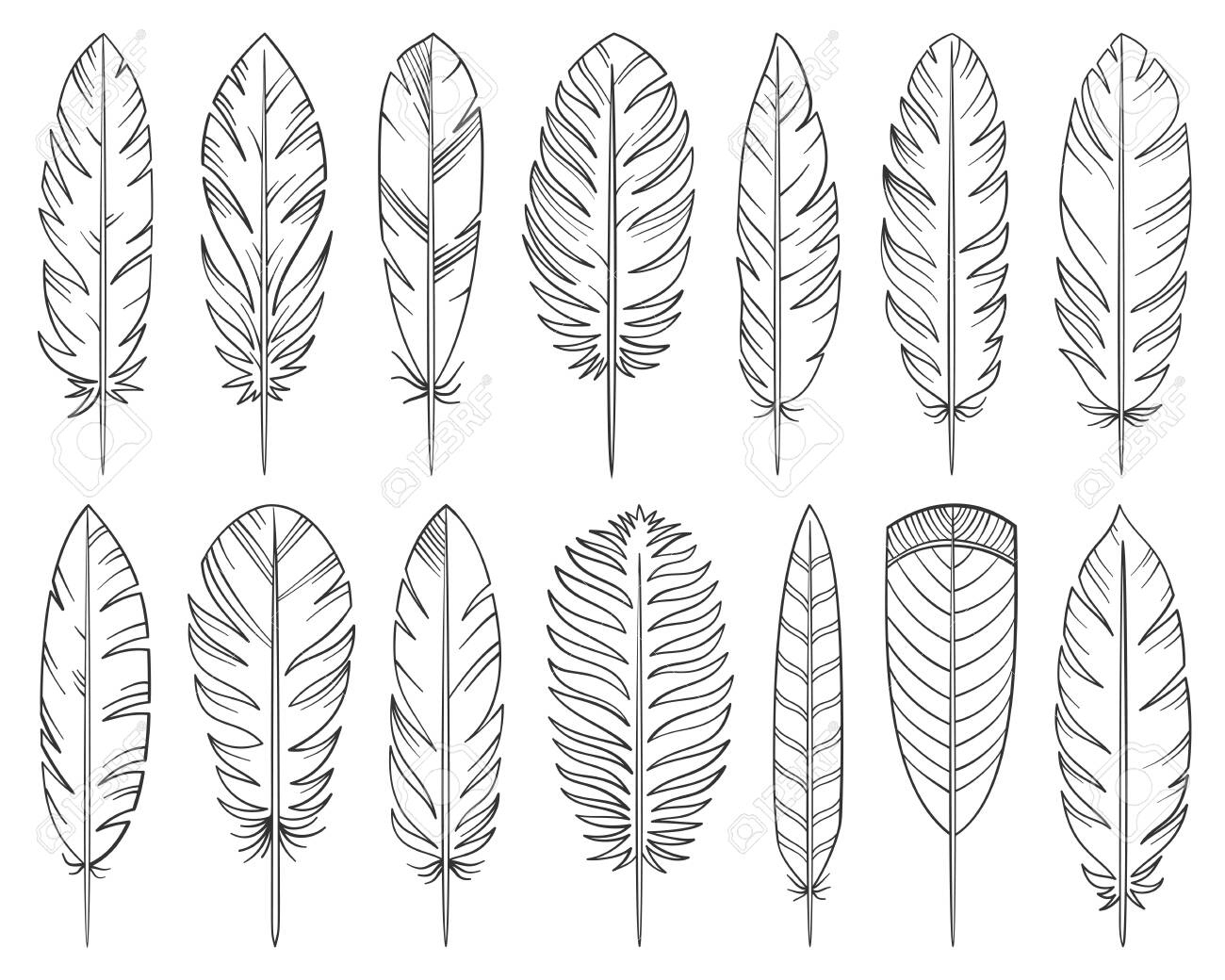 Feather Hand Drawn Line Style Set. Quill Collection Of Simple with regard to Doodle Feather Template