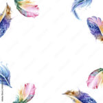 Feather Isolated On White Background. Tender Elegant Border Throughout Feather Frame Template
