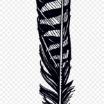 Feather Jen Mussari Transparent Feathers Hawk Banner   Hawk In Hawk Feather Template Printable