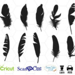 Feather Svg, Feathers Svg, Feather Clipart, Cricut, Feather For Feather Template For Silhouette Cameo