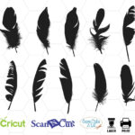 Feather Svg, Feathers Svg, Feather Clipart, Cricut, Feather With Cricut Feather Template