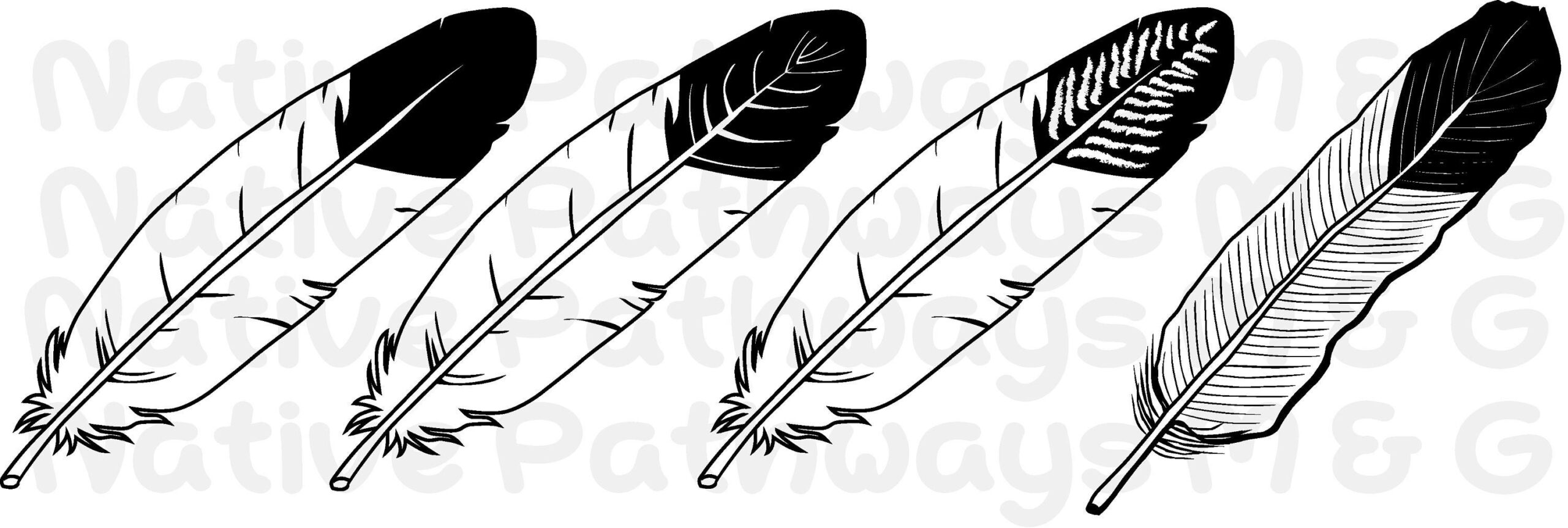 Feather Svg - Native American Eagle Feather (Bundle), Digital within Eagle Feather Template Printable