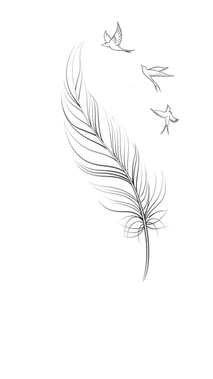 Feather Tattoo Design with regard to Feather Tattoo Template