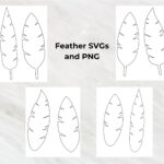 Feathers Template Svg Png For Cricut, Silhouette, Brother Inside Feather Template For Silhouette Cameo
