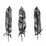 Feathers With Patterns. Vector Illustration For A Card Or Poster Throughout Indian Feather Pattern Template