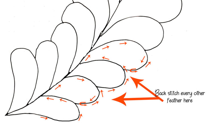 Quilting Feather Template Quilting Feather Template