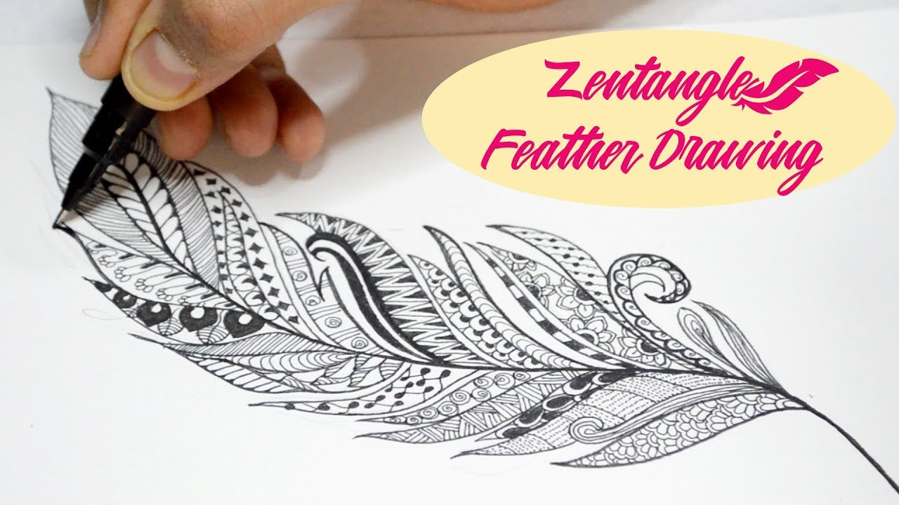 How To Draw Zentangle Feather | Speed Drawing with Zentangle Feather Template