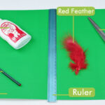 How To Make A Peter Pan Hat: 15 Steps (With Pictures)   Wikihow In Peter Pan Feather Template