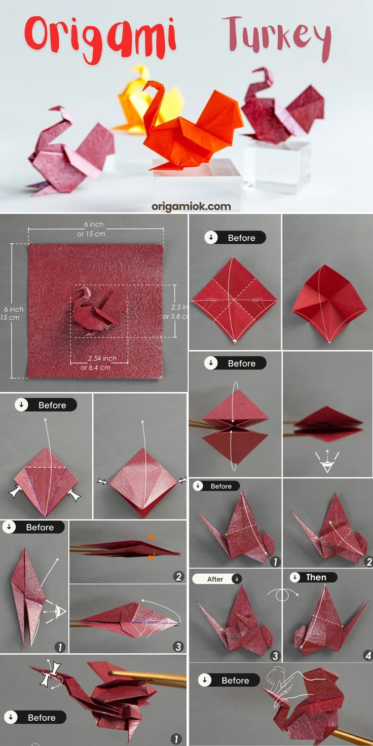 How To Make Origami Turkey in Turkey Origami Template
