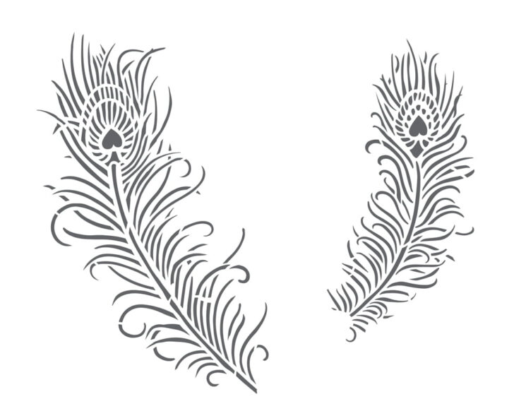 Peacock Feather Stencil Template
