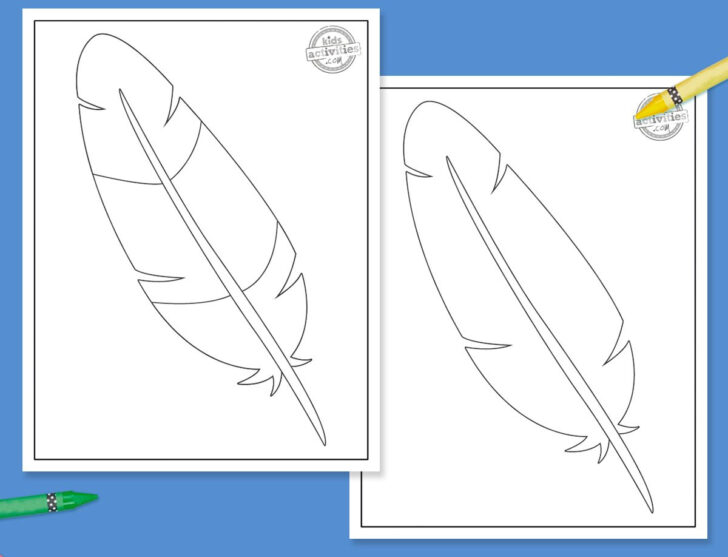 Blank Free Printable Feather Template