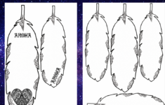 Matariki 2019-2020 – The Te Reo Māori Classroom for Feather Template For Korowai