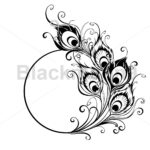 Monogram With Contour Peacock Feathers For Feather Monogram Template