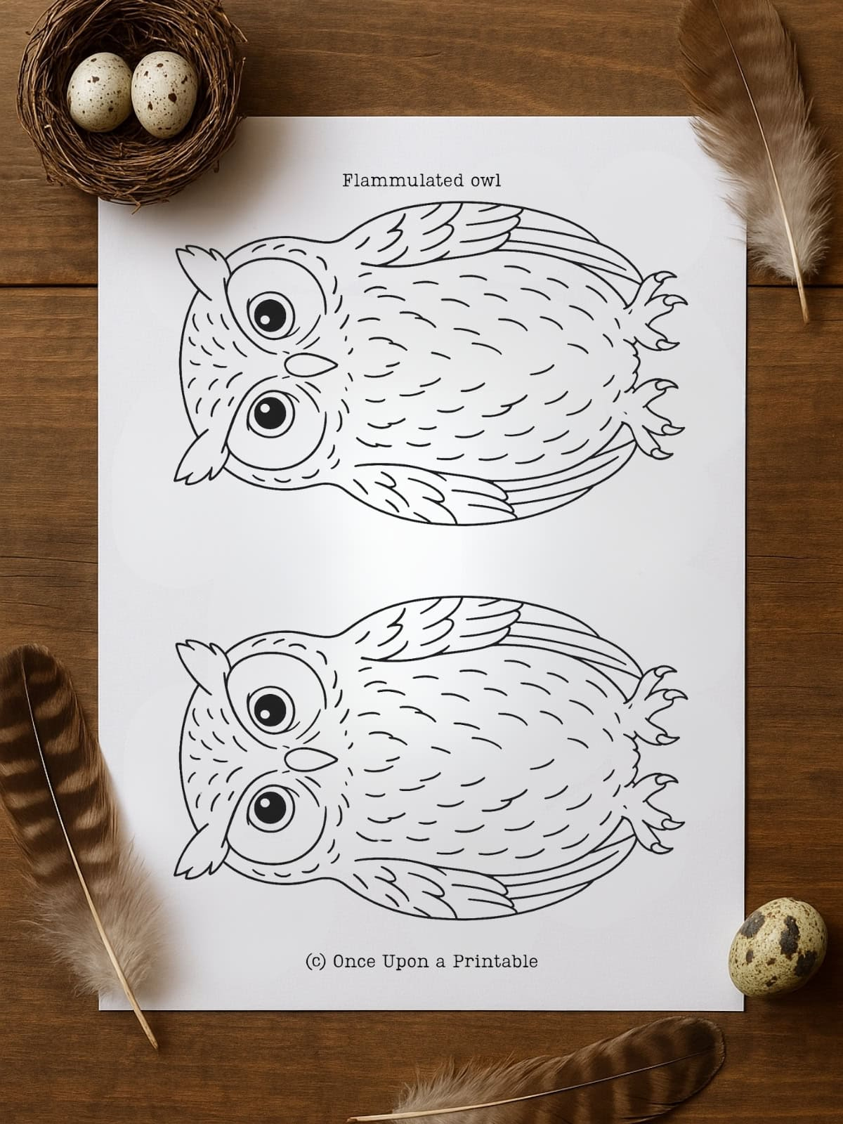 Owl Template (Free Printable) - Once Upon A Printable for Owl Feather Template Printable