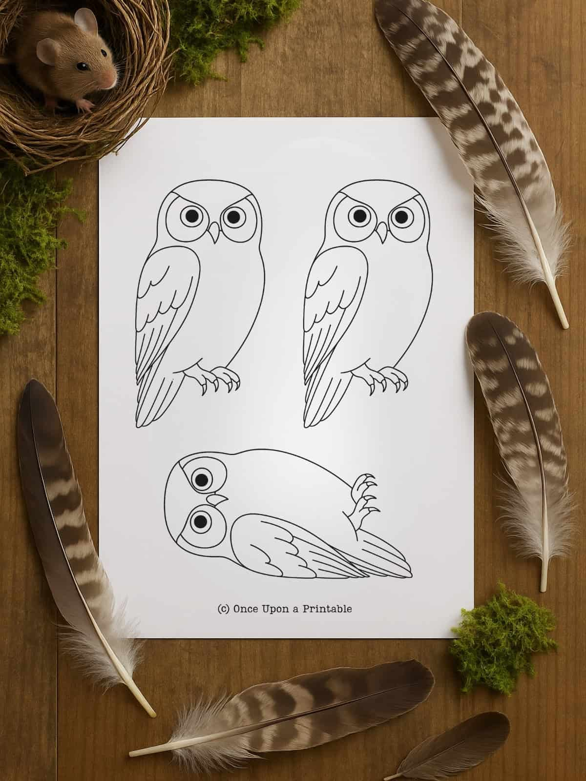 Owl Template (Free Printable) - Once Upon A Printable pertaining to Owl Feather Template