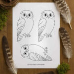 Owl Template (Free Printable)   Once Upon A Printable With Owl Feather Template Printable