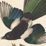 Paper Roundup August 2025: Alpha Centauri Ab, Worm Circuits, Ai Chess With Regard To Lea Griffiths Paper Feather Template