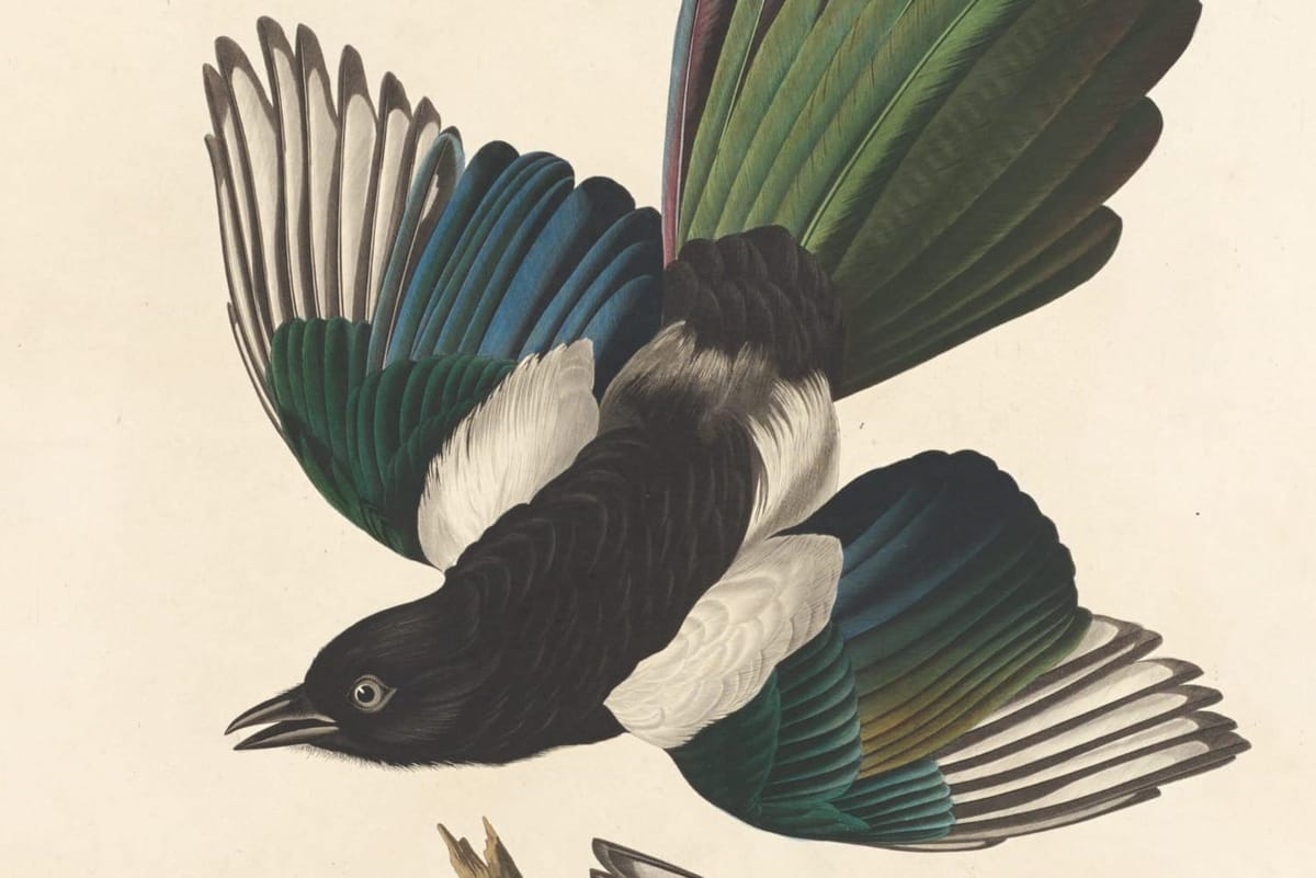 Paper Roundup August 2025: Alpha Centauri Ab, Worm Circuits, Ai Chess with regard to Lea Griffiths Paper Feather Template