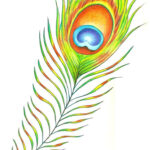 Peacock Feather | Peacock Feather Tattoo, Feather Tattoo Design Inside Peacock Feather Drawing Template