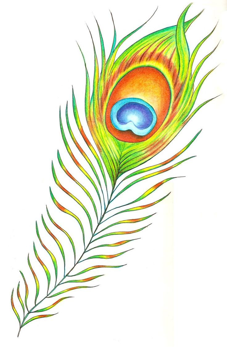 Peacock Feather | Peacock Feather Tattoo, Feather Tattoo Design inside Peacock Feather Drawing Template