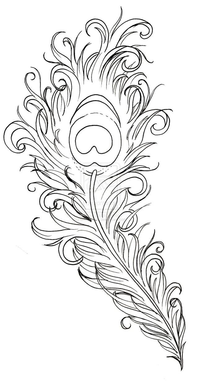 Peacock Feather Tattoometacharis On Deviantart pertaining to Peacock Feather Template
