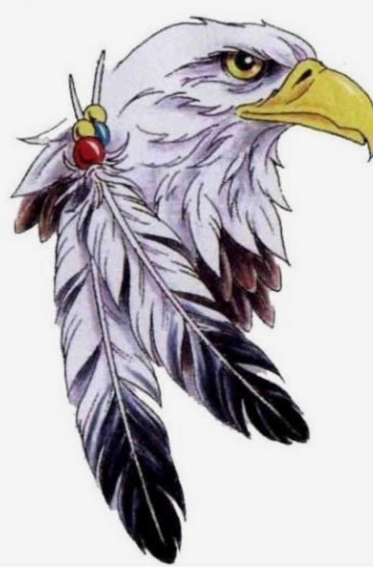 Pinmike N Lisa Biri On Great Ideas!! In 2025 | Native American throughout Veteran Eagle Feather Template