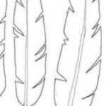 Pinpamela Schaefer On Templates | Paper Feathers, Feather Within Blank Feather Template