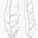 Pinterest | Feather Drawing, Feather Art, Drawings Throughout Feather Drawing Template