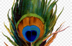 Printable Peacock Feather – Pena De Pavao Png – Free Transparent within Free Peacock Feather Template