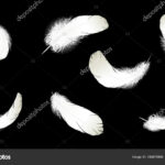 Realistic 3D Detailed White Swan Pigeon Feathers Fluff Set Within Falling Feather Template
