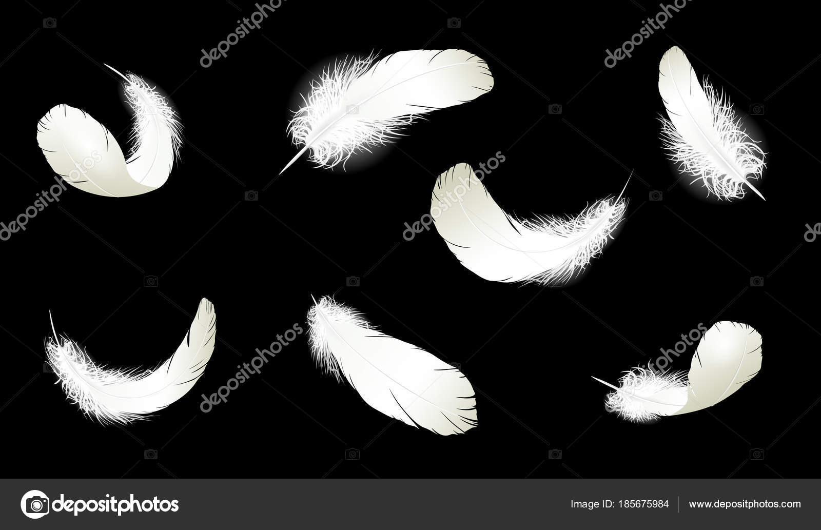 Realistic 3D Detailed White Swan Pigeon Feathers Fluff Set within Falling Feather Template