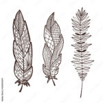 Stock Vektorgrafik „Hand Drawn Stylized Feathers. Interior Graphic Pertaining To Feather Art Template