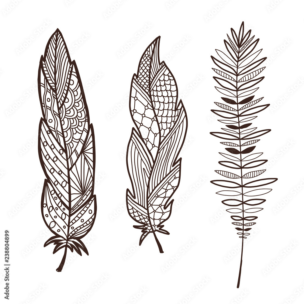 Stock-Vektorgrafik „Hand Drawn Stylized Feathers. Interior Graphic with Cute Feather Template