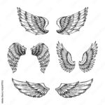 Stock Vektorgrafik „Hand Drawn Wing. Sketch Angel Wings With Within Angel Wing Feather Template