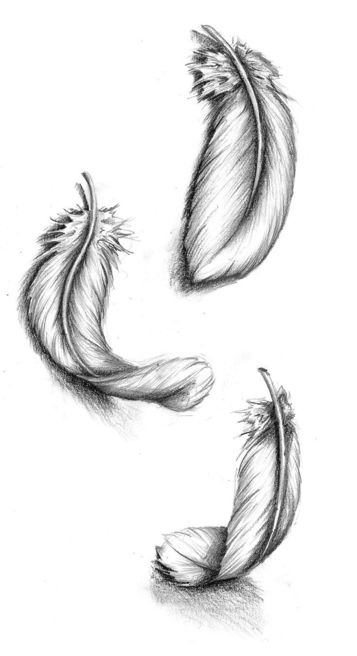 Thinking About Having Burning Feathers Falling Down The Side Of My in Feather Tattoo Template