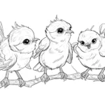 Three Pretty Little Birds   Bird Coloring Pages Throughout Feather And Birds Coloring Template Free Printable