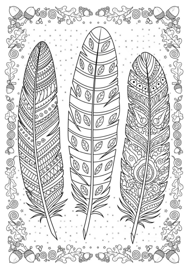Turkey Feather Coloring Template