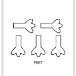 Turkey Templates (Free Pdf Printables) – Simply Love Coloring Regarding Free Turkey Feet Template