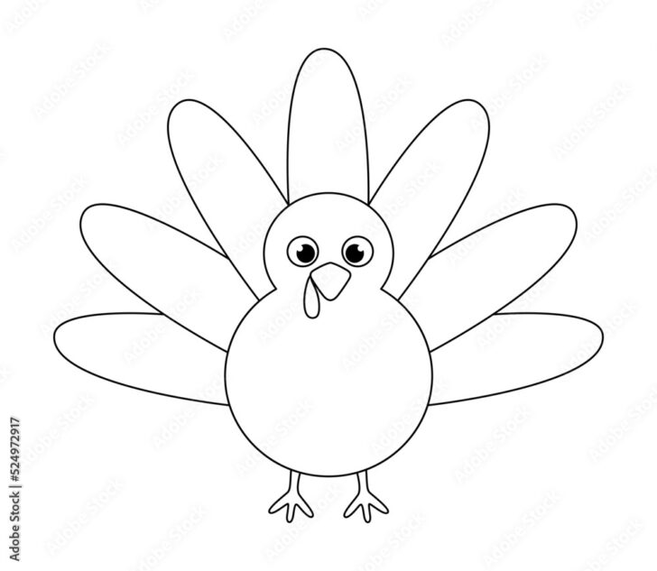 Turkey Outline Template