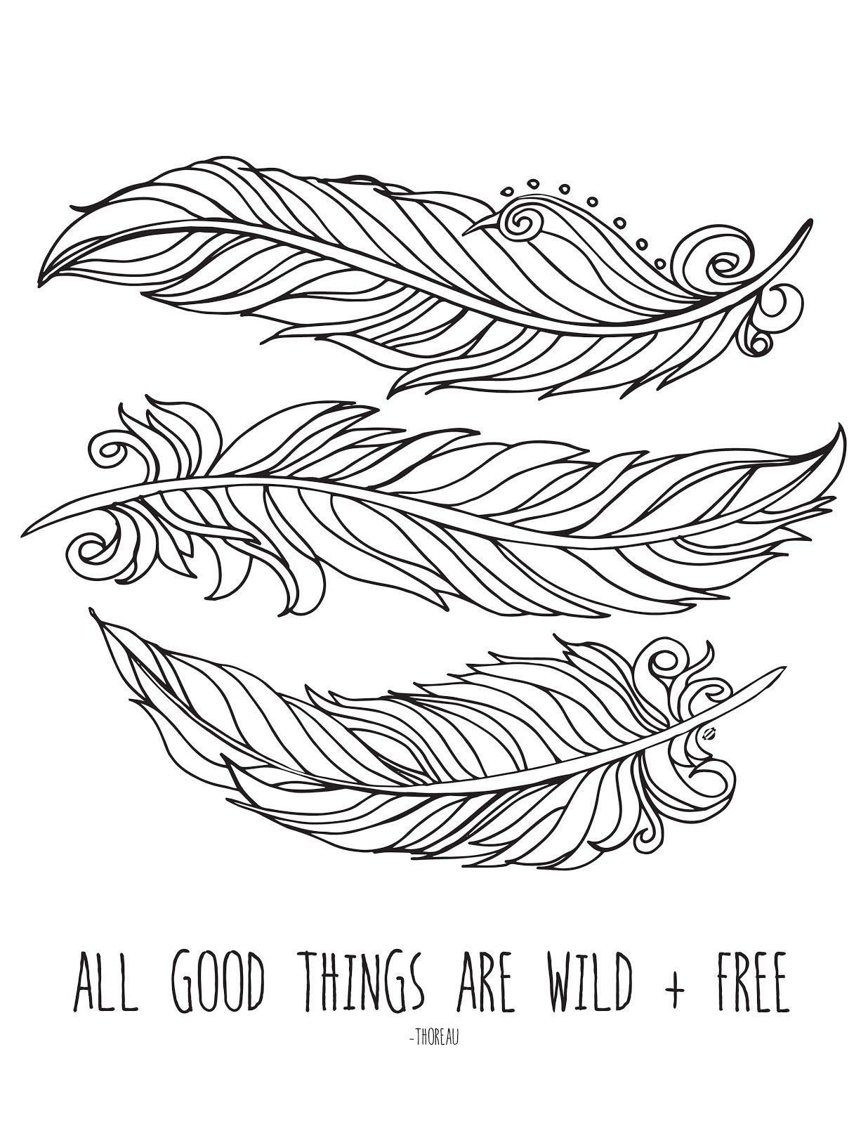 Wild + Free inside Feather Coloring Template Free Printable