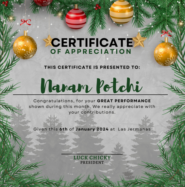 Certificate of Appreciation Template Christmas Certificate of Appreciation Template Christmas