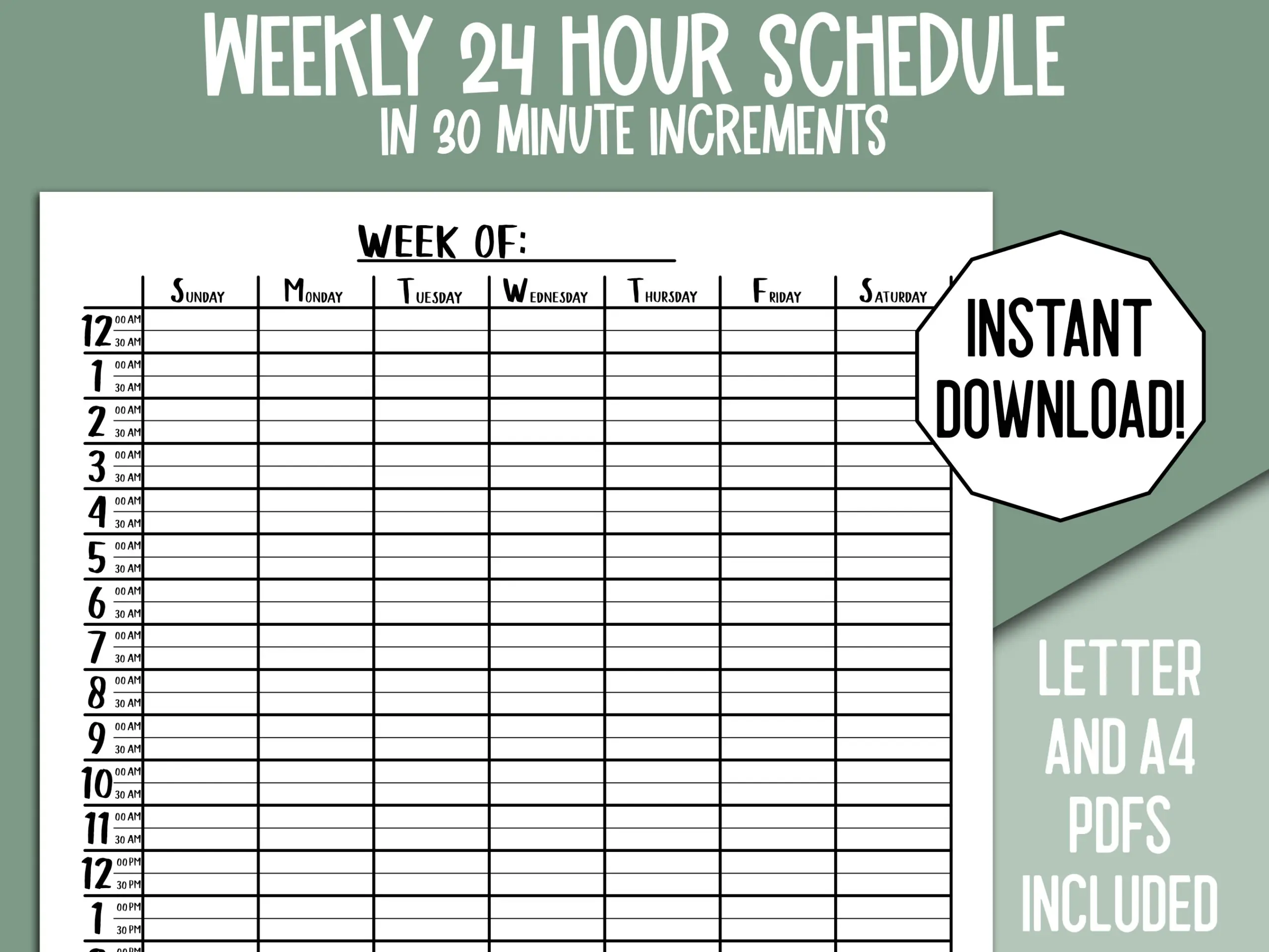 printable 30 minute schedule template