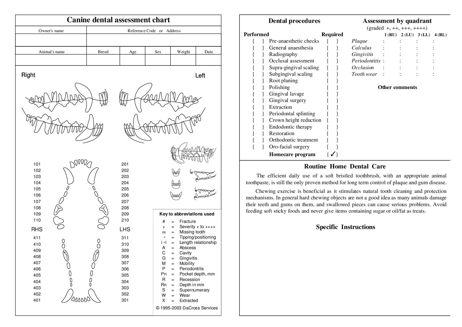 36 Dental Charts
