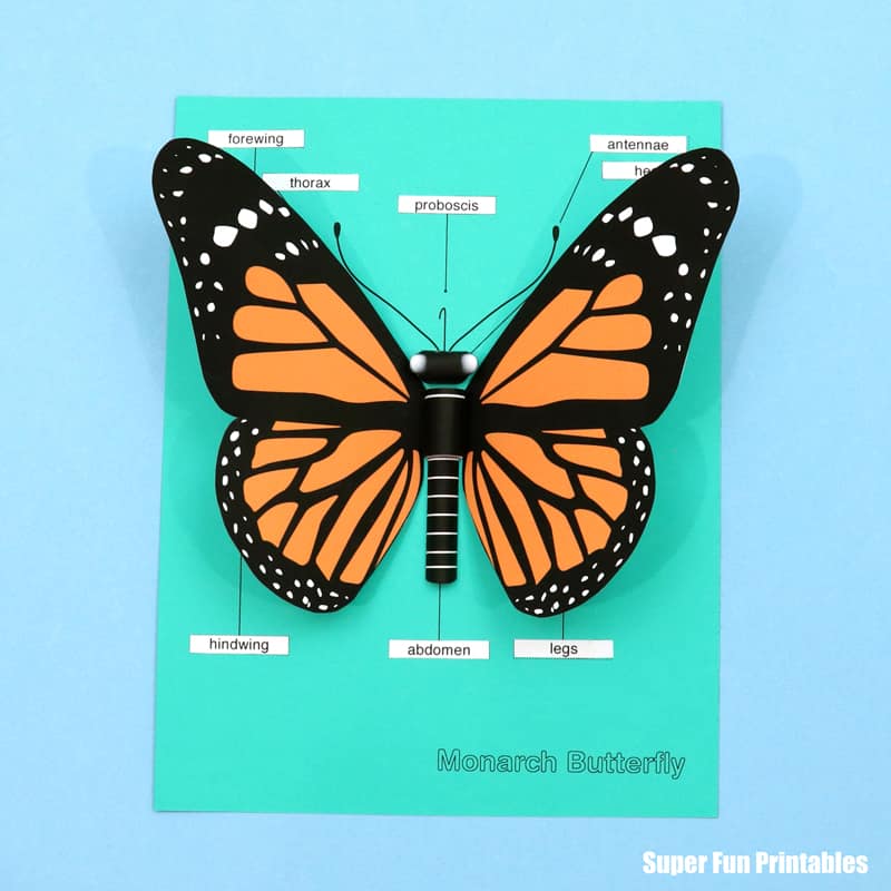 3d Monarch Butterfly Paper Craft