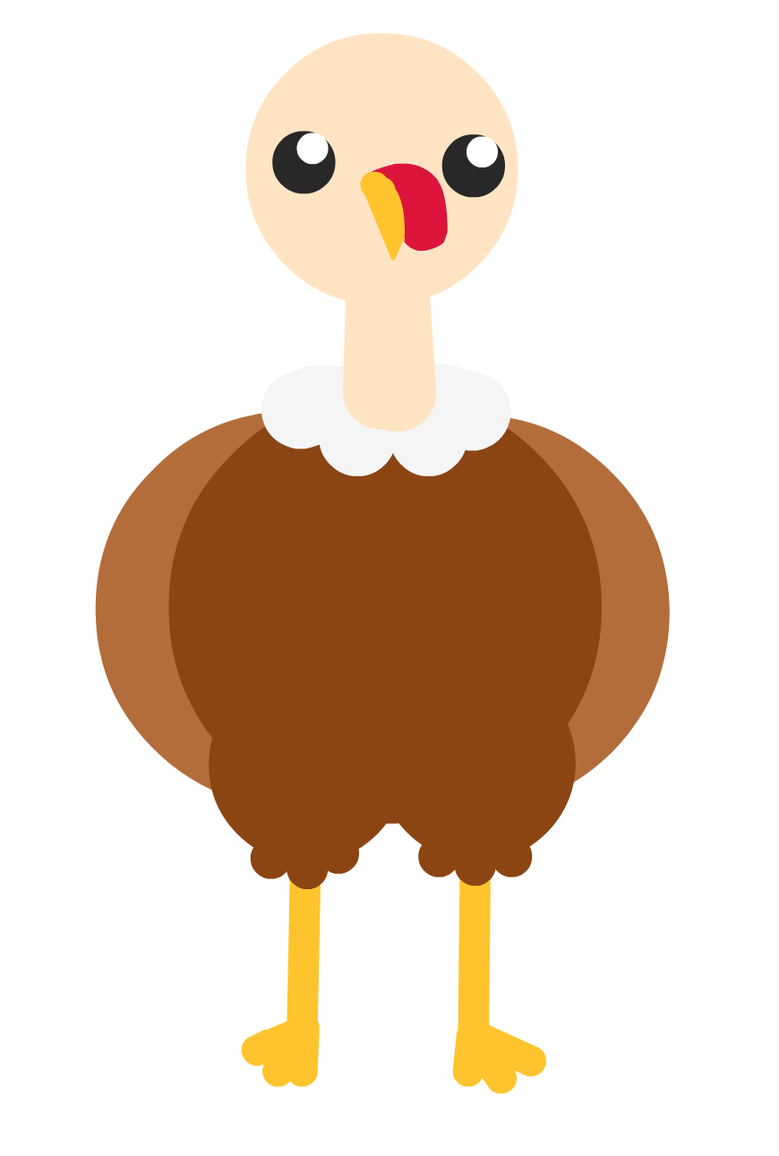 5 Give The Turkey Feathers