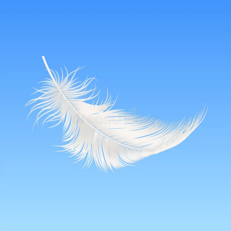 Blue Feather Falling Blue Feather Falling