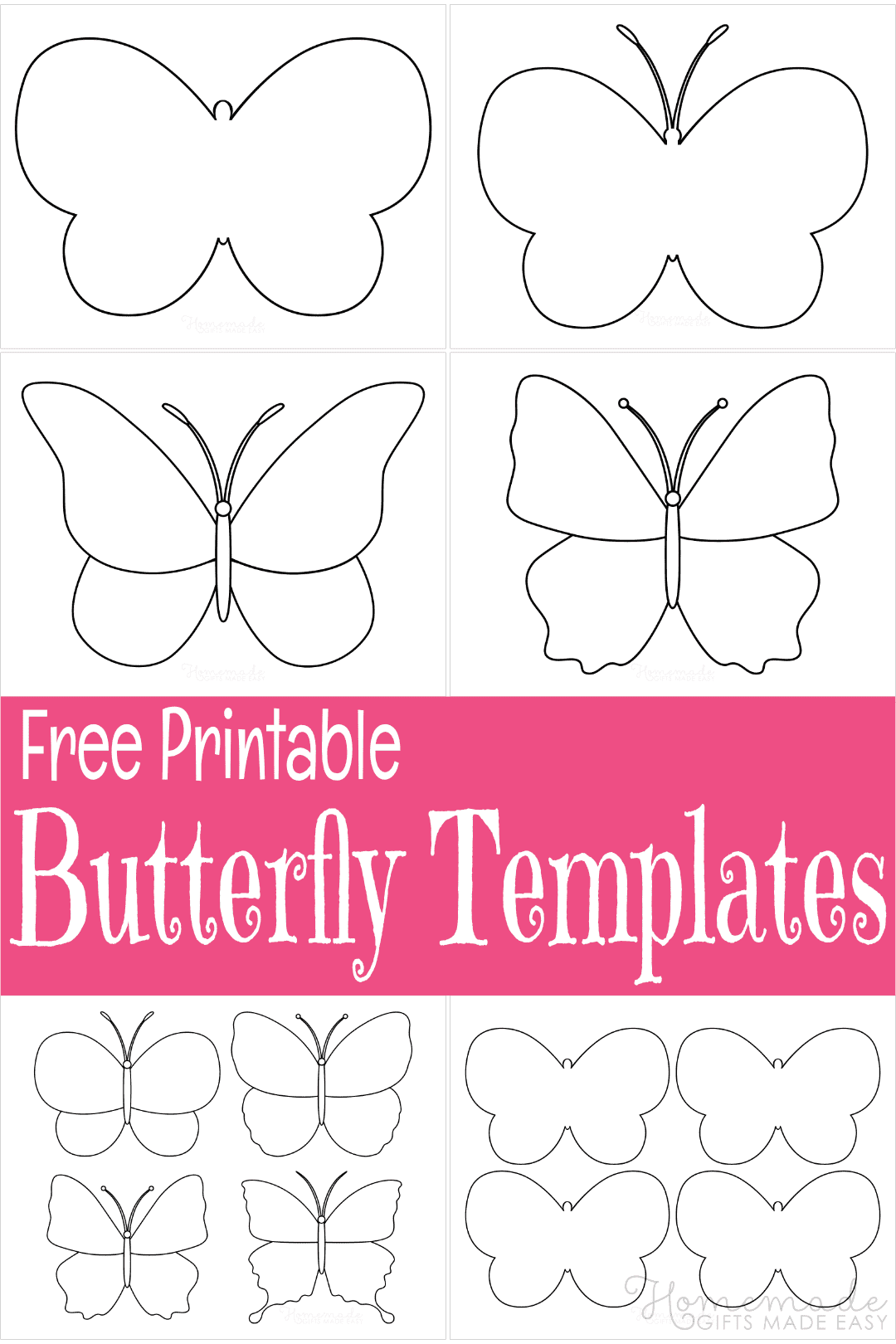 Butterfly Template