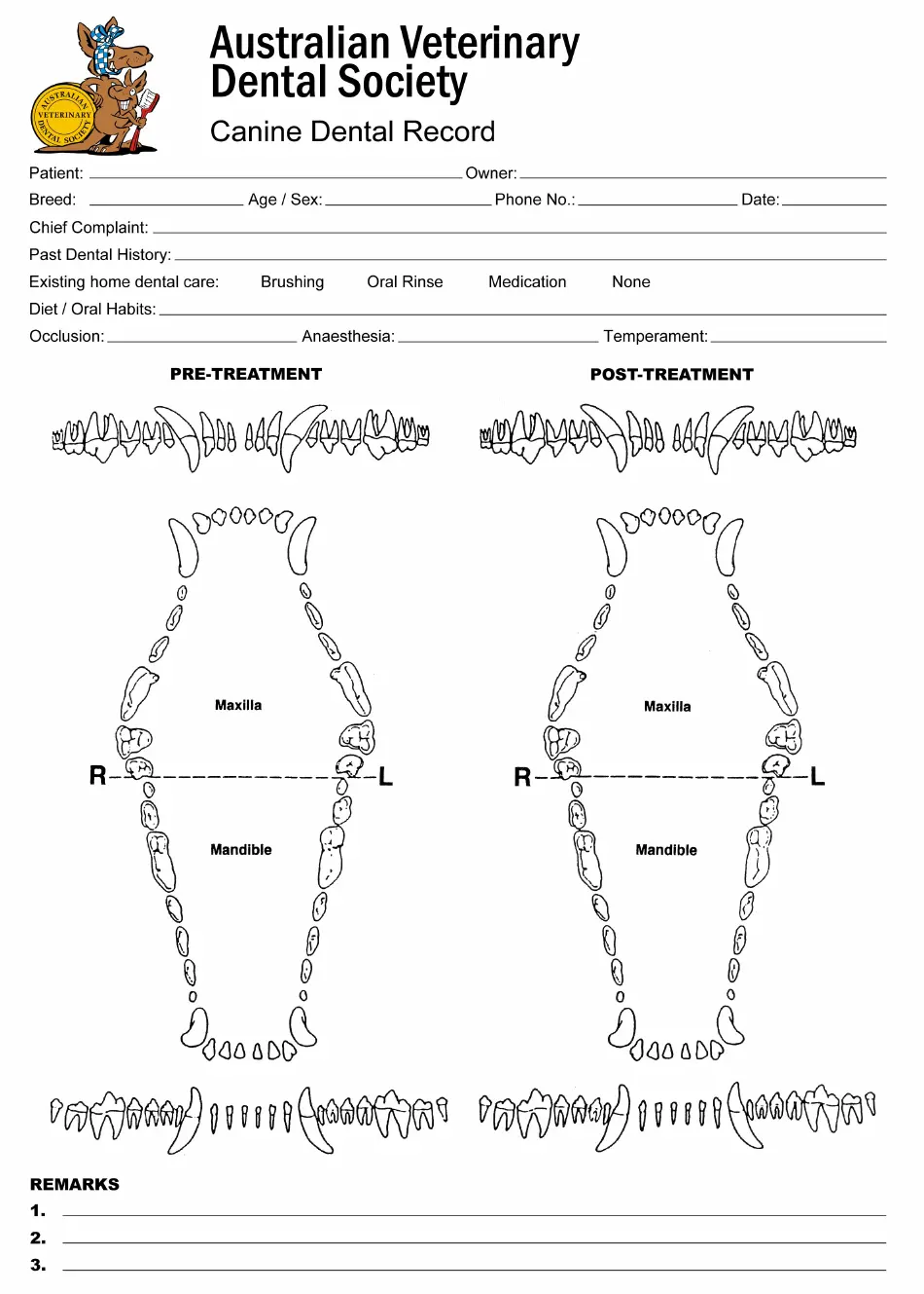 template printable canine dental chart