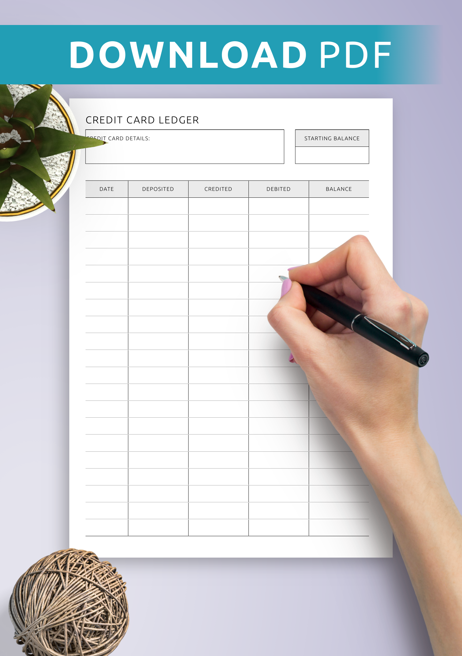 Credit Card Ledger Credit Card Ledger