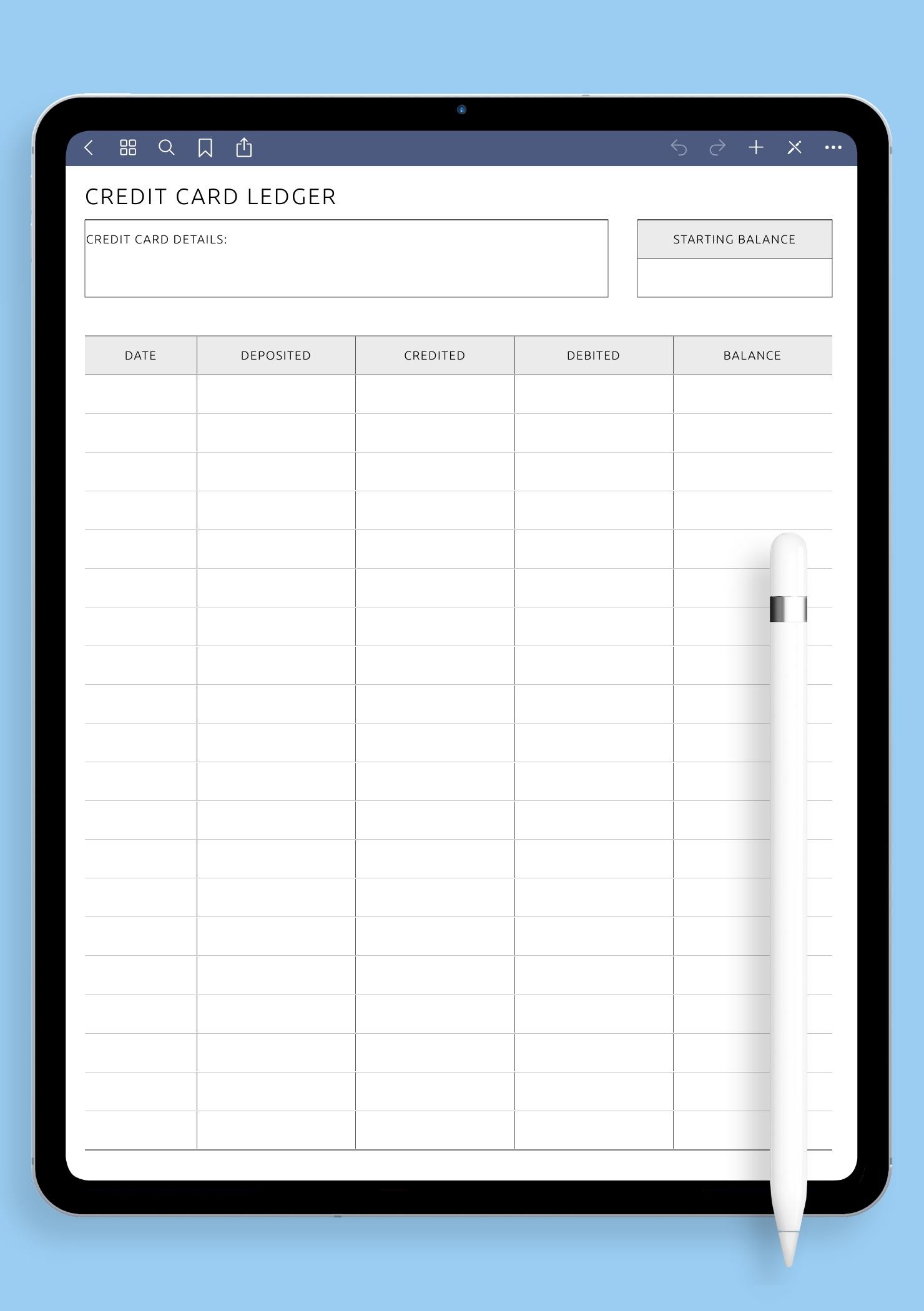 Credit Card Ledger Credit Card Ledger